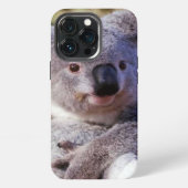 Etui iPhone 13 Pro Cute Koala Ours Coque maté 4 Coque iphone (Dos)