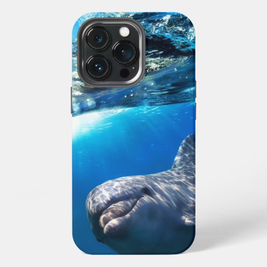 Etui iPhone 13 Pro Dauphin (Dos)