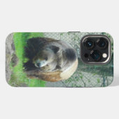 Etui iPhone 13 Pro Étui pour iPhone 13 Pro Ours Grizzly #1 (Verso Horizontal)