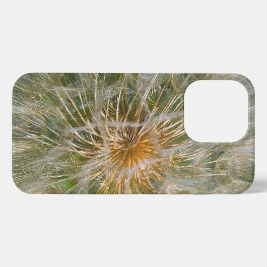 Etui iPhone 13 Pro Fleur Dandelion (Verso Horizontal)