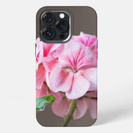 Etui iPhone 13 Pro Fleur de géranium rose (Dos)