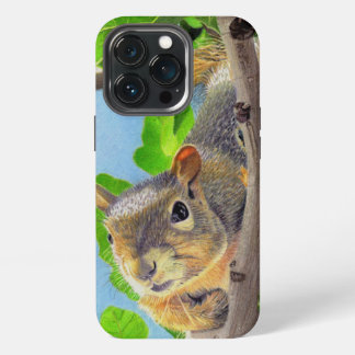 Etui iPhone 13 Pro iPhone / coque ipad