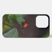 Etui iPhone 13 Pro Ladybug (Verso Horizontal)