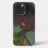 Etui iPhone 13 Pro Ladybug (Verso)