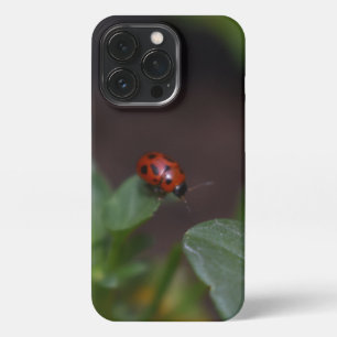 Etui iPhone 13 Pro Ladybug