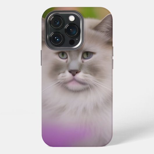 Etui iPhone 13 Pro Magnifique chat himalayen Maine Coon (Dos)