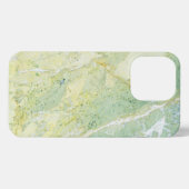 Etui iPhone 13 Pro Marbre vert dégradé (Verso Horizontal)