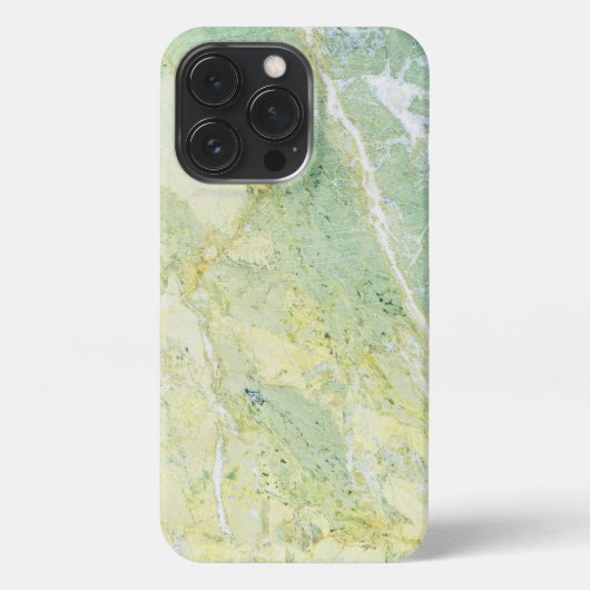 Etui iPhone 13 Pro Marbre vert dégradé (Verso)