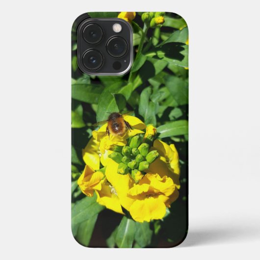 Etui iPhone 13 Pro Max Abeille sur Fleurs Jaunes (Verso)
