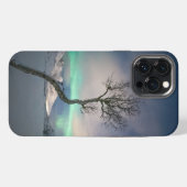 Etui iPhone 13 Pro Max Arborescence boréale (Verso Horizontal)