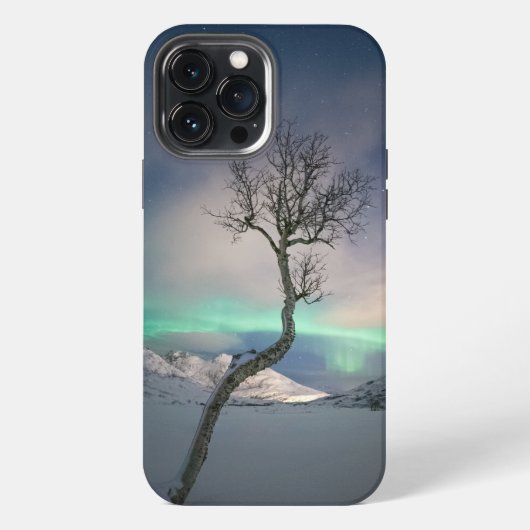 Etui iPhone 13 Pro Max Arborescence boréale (Verso)