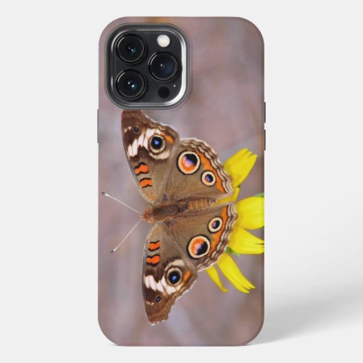 Etui iPhone 13 Pro Max Beau papillon sur Fleur Jaune (Verso)