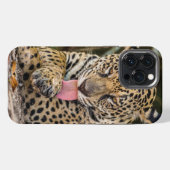 Etui iPhone 13 Pro Max Boîtier Jaguar Cub Case-Mate pour iPhone (Verso Horizontal)