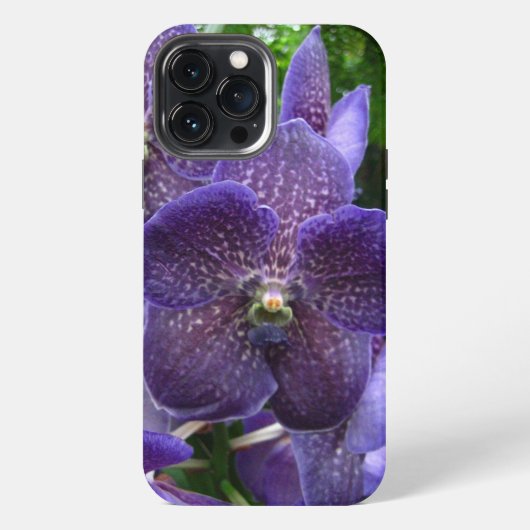 Etui iPhone 13 Pro Max Boîtier Vanda violet pour iPhone 13 Pro Max (Verso)