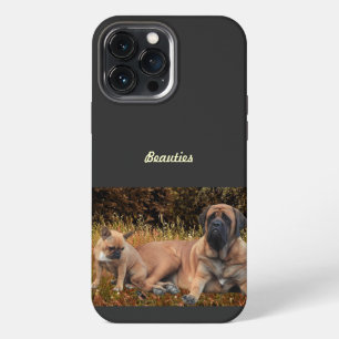 Etui iPhone 13 Pro Max Bouledogue français et amis Mastiff