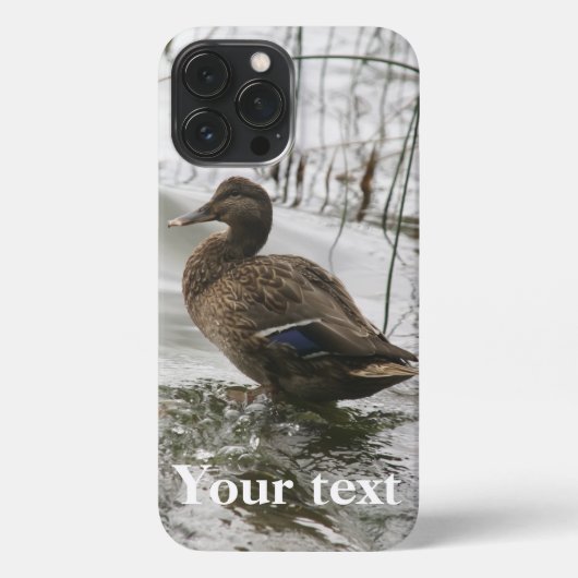 Etui iPhone 13 Pro Max Canard gris sur la nuit du lac (Verso)