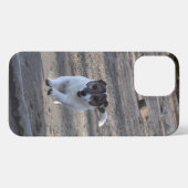 Etui iPhone 13 Pro Max Capo von Oppenheim, Jack Russell Terrier Chien (Verso Horizontal)