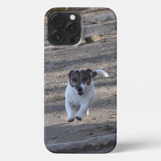 Etui iPhone 13 Pro Max Capo von Oppenheim, Jack Russell Terrier Chien (Verso)