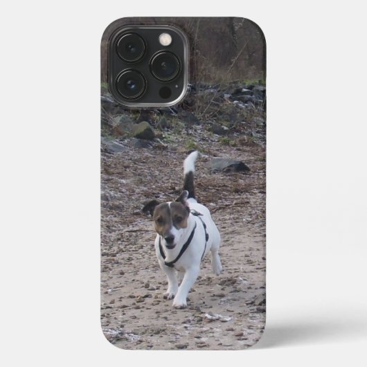 Etui iPhone 13 Pro Max Capo von Oppenheim, Jack Russell Terrier Chien (Verso)