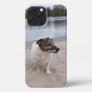 Etui iPhone 13 Pro Max Capo von Oppenheim, Jack Russell Terrier Chien