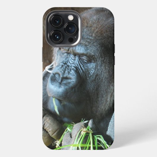 Etui iPhone 13 Pro Max Capot de singe ~ Gorille japonais mangeant (Verso)