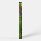 Etui iPhone 13 Pro Max Cerf à queue blanche (Côté droit)