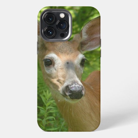 Etui iPhone 13 Pro Max Cerf à queue blanche (Verso)