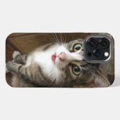 Etui iPhone 13 Pro Max Chat (Verso Horizontal)