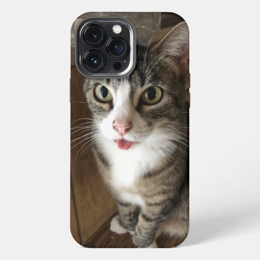 Etui iPhone 13 Pro Max Chat (Verso)