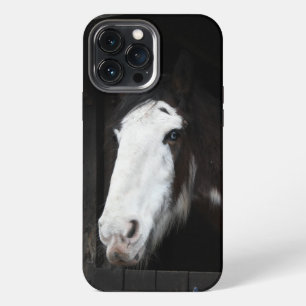 Etui iPhone 13 Pro Max Cheval brun à la ferme
