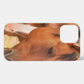Etui iPhone 13 Pro Max Cheval Se Cache Derrière Le Cheval (Verso Horizontal)