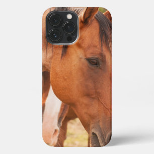 Etui iPhone 13 Pro Max Cheval Se Cache Derrière Le Cheval