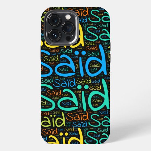 Etui iPhone 13 Pro Max Dit (Verso)