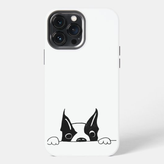 Etui iPhone 13 Pro Max Étui pour iPhone 13 Pro Max SG - 226 (Verso)