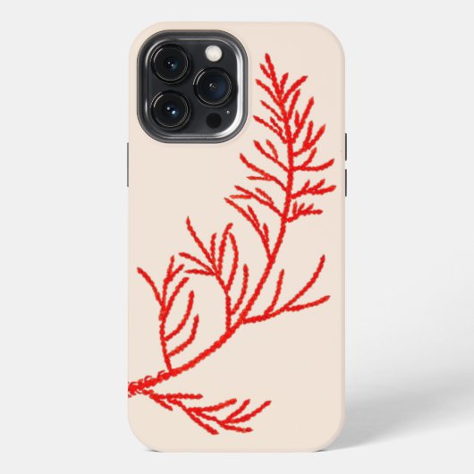 Etui iPhone 13 Pro Max Feuilles de cèdre sur un coque iphone (Verso)