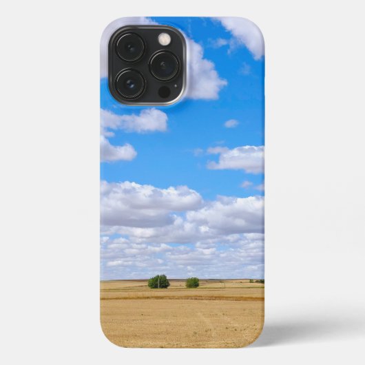 Etui iPhone 13 Pro Max Harvested wheat fields (Verso)