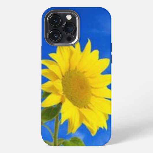 Etui iPhone 13 Pro Max iPhone 13 pro max coque (Verso)