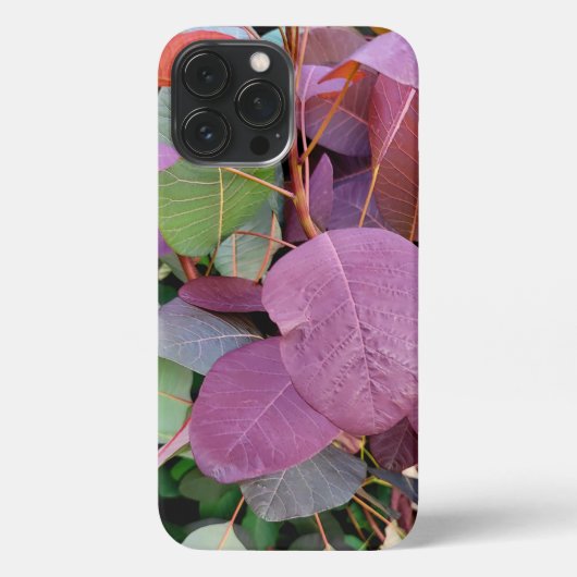 Etui iPhone 13 Pro Max iPhone 13 Pro Max Coque mince, brillant (Verso)