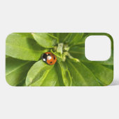 Etui iPhone 13 Pro Max Ladybug (Verso Horizontal)