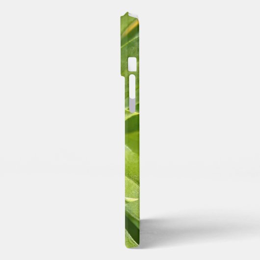 Etui iPhone 13 Pro Max Ladybug (Côté gauche)