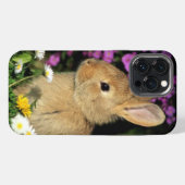 Etui iPhone 13 Pro Max Lapin (Verso Horizontal)