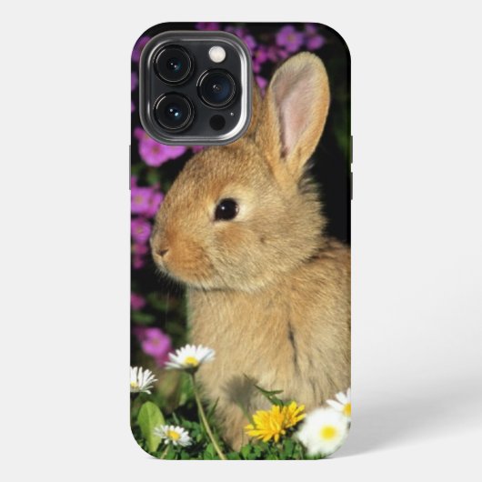 Etui iPhone 13 Pro Max Lapin (Verso)