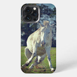 Etui iPhone 13 Pro Max Nouvelle forêt Poney blanc pose drôle