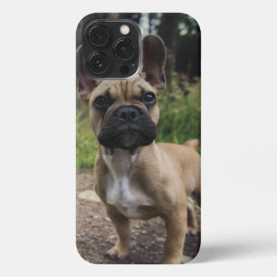 Etui iPhone 13 Pro Max Oreiller à lancer de chien de taureau français