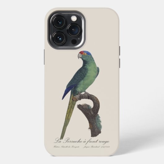 Etui iPhone 13 Pro Max Perruche à front orange, Eupsittula Canicularis (Verso)