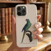 Etui iPhone 13 Pro Max Perruche à front orange, Eupsittula Canicularis