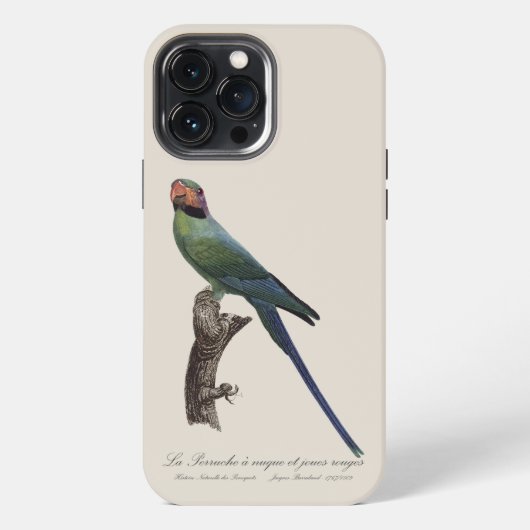 Etui iPhone 13 Pro Max Perruche à longue queue, Psittacula Longicauda (Verso)