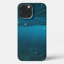  Seascape with Beach, Great Wave & Mount Sea Case