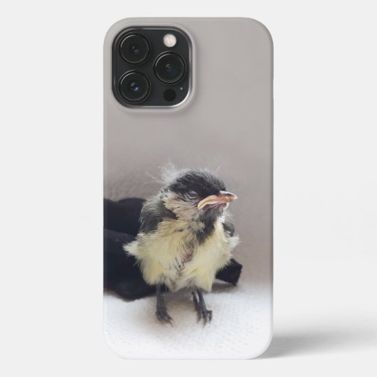 Etui iPhone 13 Pro Max Tidi my Bird le Parus Major (Verso)