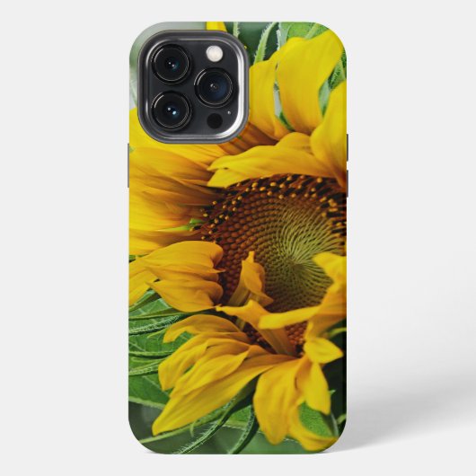 Etui iPhone 13 Pro Max Tournesol (Verso)